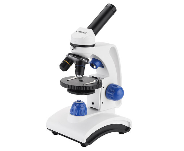 Picture 2 of The birth of the microscope