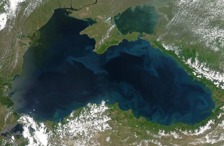 Picture 2 of The Black Sea changed colors - NASA warned of the risk of harming plants and animals