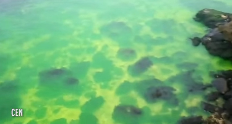 Picture 1 of The Black Sea changes an unusually blue color, which makes people confused