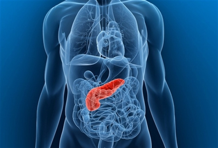 Picture 2 of The blood cells of cancer survivors have hope to help other patients' get better.