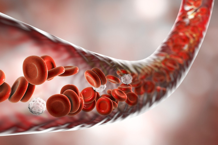 Picture 3 of The blood cells of cancer survivors have hope to help other patients' get better.