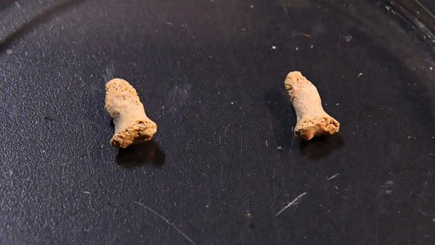 Picture 1 of The bone of 115,000 years of a girl is eaten by prehistoric birds