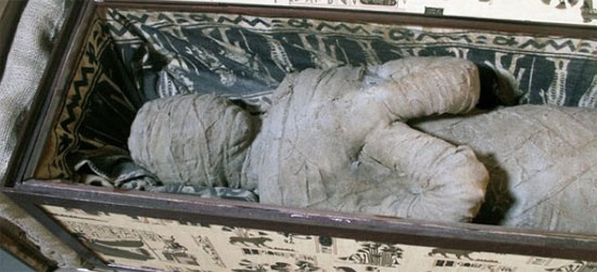 Picture 1 of The boy found 'mummy' in the attic