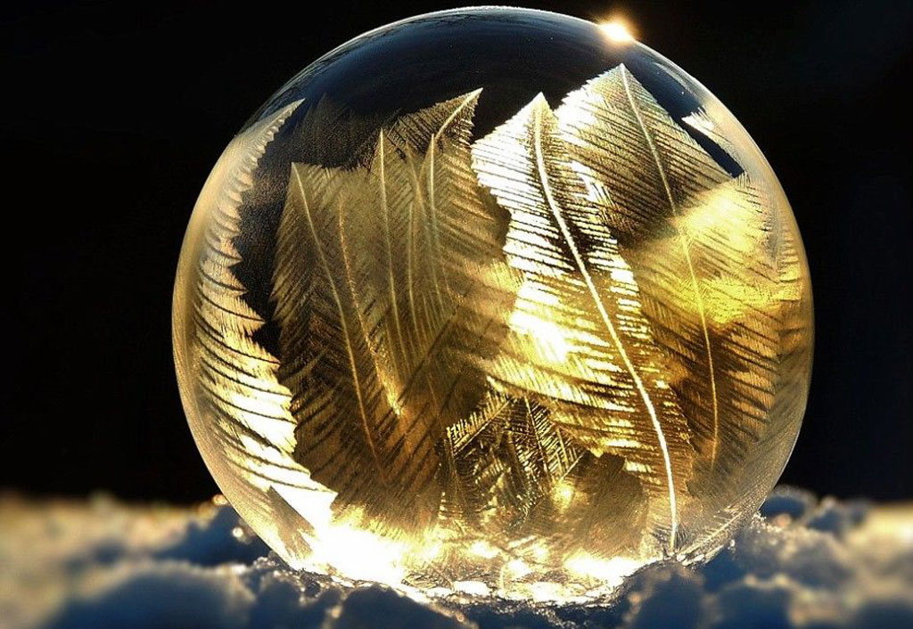 Picture 6 of The bubble froze in the sunlight