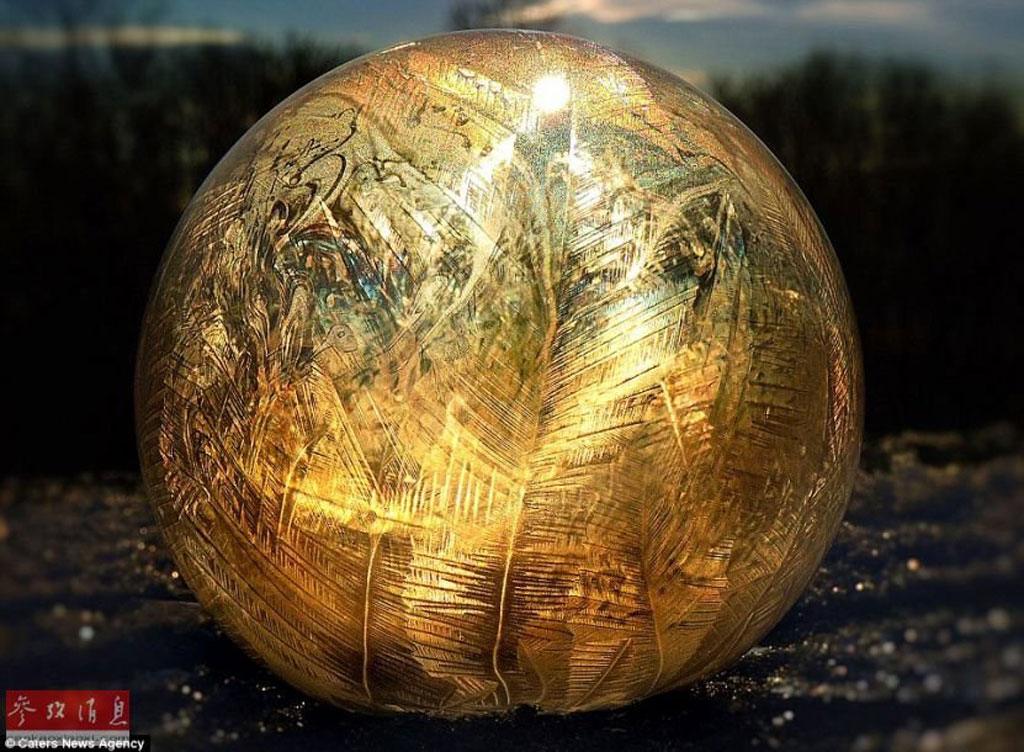Picture 7 of The bubble froze in the sunlight
