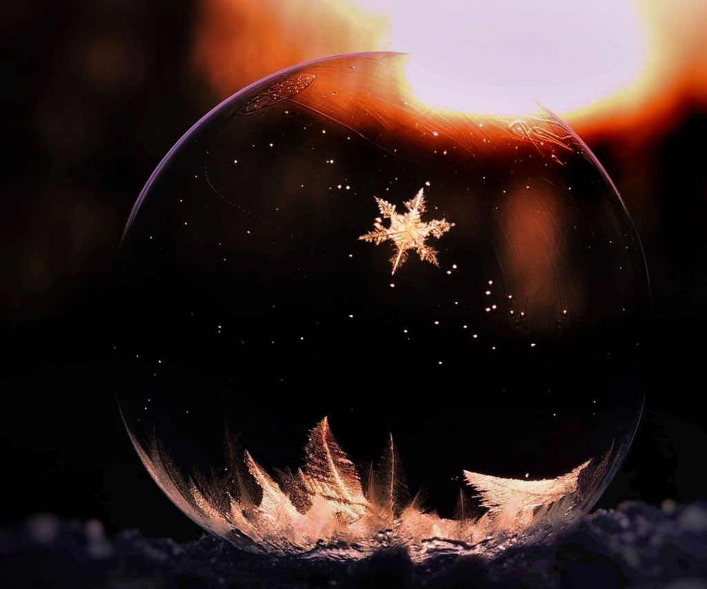 Picture 8 of The bubble froze in the sunlight
