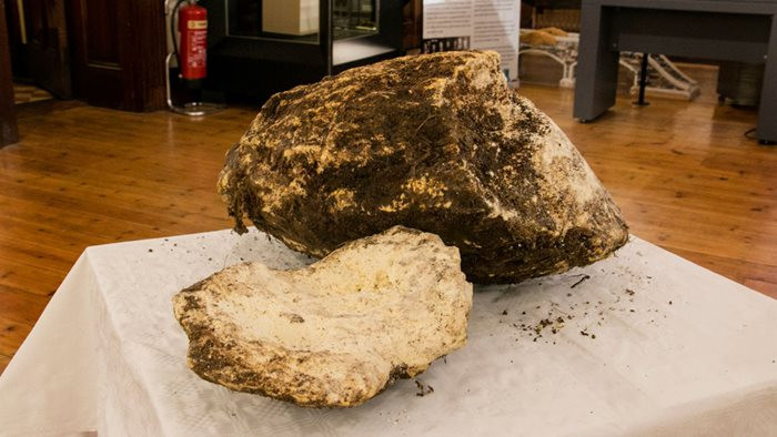 Picture 1 of The butter is still eaten after 2000 years buried in the Irish swamp