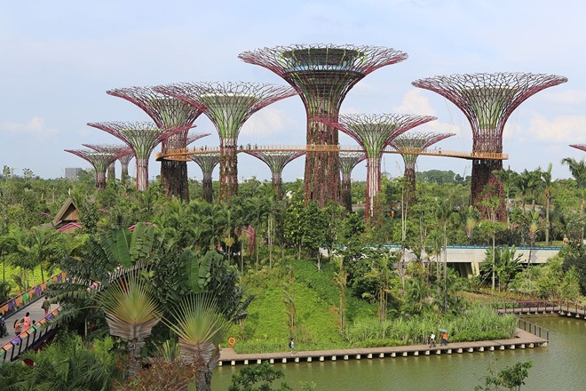 Picture 4 of The campaign turned Singapore into a giant park