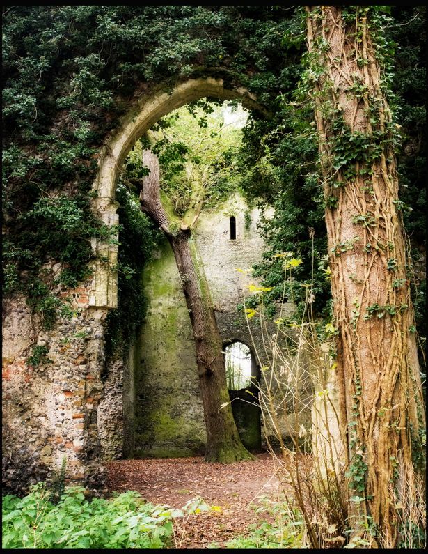 Picture 10 of The castles are deserted with beauty