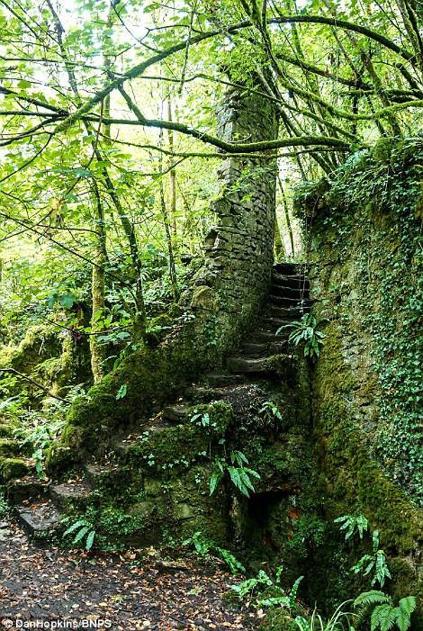 Picture 11 of The castles are deserted with beauty