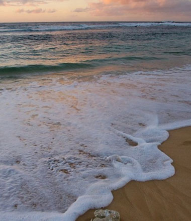 Picture 1 of The cause of sea foam