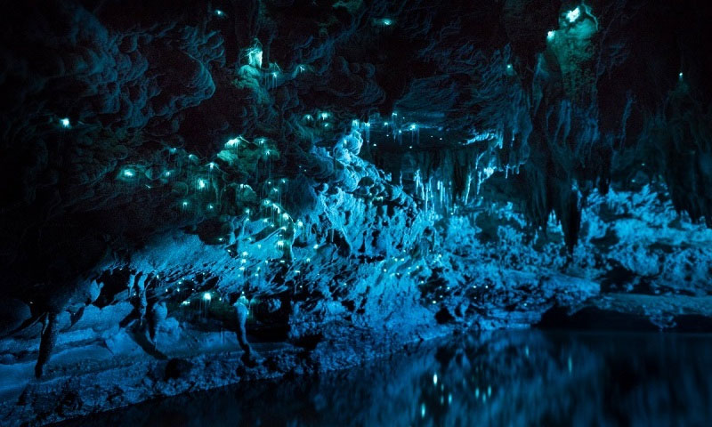 Picture 1 of The cave is 30 million years old in New Zealand