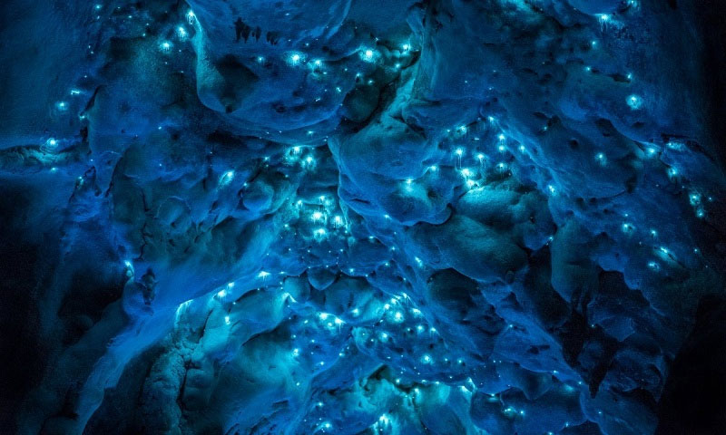 Picture 2 of The cave is 30 million years old in New Zealand