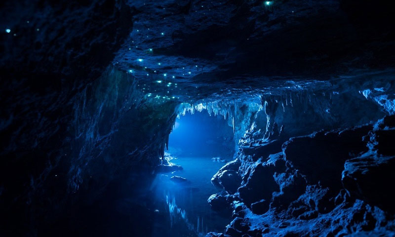 Picture 4 of The cave is 30 million years old in New Zealand