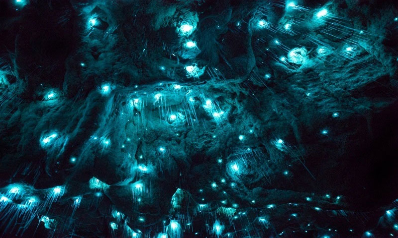 Picture 5 of The cave is 30 million years old in New Zealand