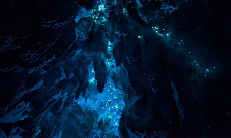 Picture 6 of The cave is 30 million years old in New Zealand