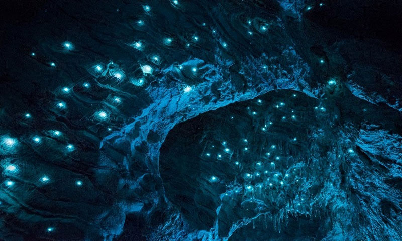 Picture 7 of The cave is 30 million years old in New Zealand