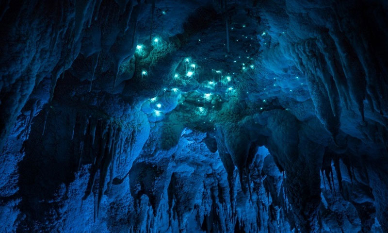 Picture 9 of The cave is 30 million years old in New Zealand