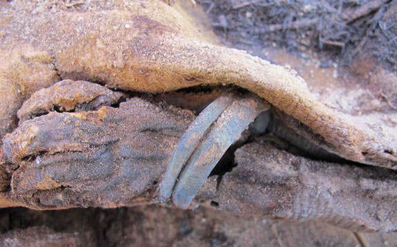 Picture 1 of The cemetery is more than a million mummies in Egypt