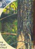 Picture 6 of The champions in the invisible world (the end)