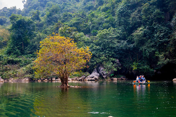 Picture 7 of The charming landscape of Trang An World Heritage Site