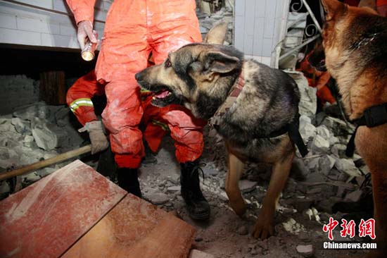Picture 2 of The Chinese earthquake image