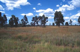 Picture 1 of The climate is warmer, causing soil to emit more CO2