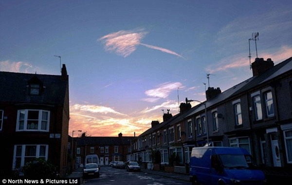 Picture 2 of The cloud carries the