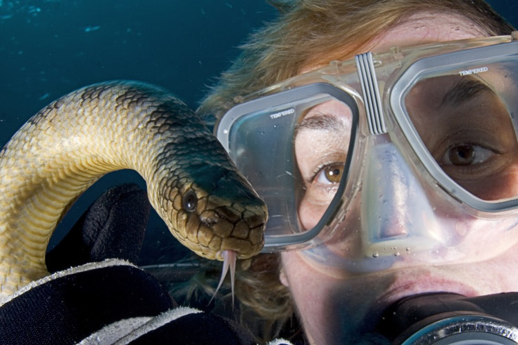Picture 4 of The cold-blooded assassin has a poison 'see' at the same time 20 people return to the dead