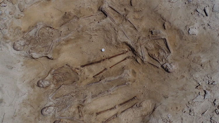 Picture 3 of The collective grave revealed a tragedy after the shipwreck of 400 years ago