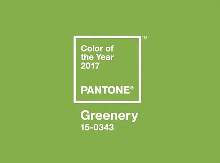 The color of 2018 - the world of infinite purple images 5