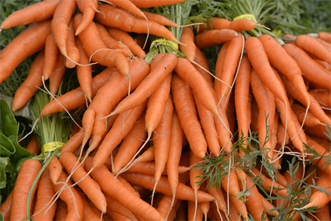 Picture 2 of The concept of human health is often mistaken