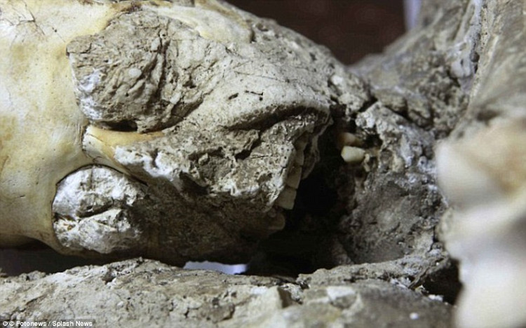 Picture 6 of The couple is buried by volcanic lava, not separated after thousands of years