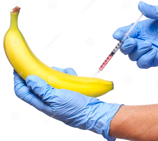 Picture 7 of The craziest genetic transformation experiments in history