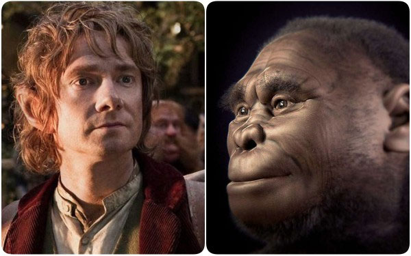 Picture 1 of The culprit has destroyed the clan 'Hobbit' myth is a modern man