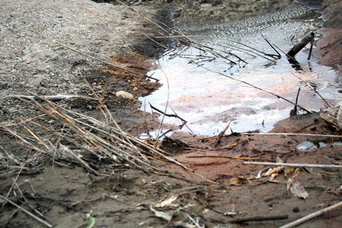 Picture 1 of The culprit makes the Red River