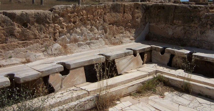 Picture 3 of The culprit makes us infected with worms, lice are ... ancient Romans