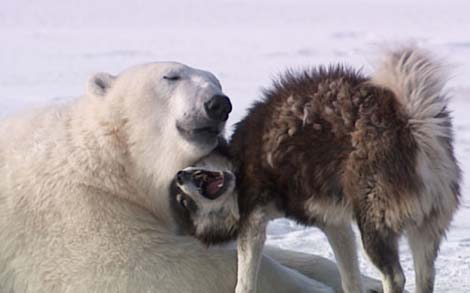 Picture 1 of The cute couple