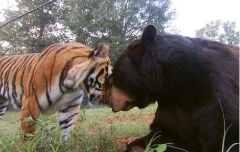 Picture 3 of The cute couple