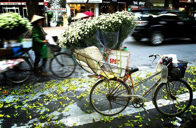 Picture 13 of The daisies signal the winter in Hanoi street
