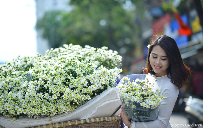 Picture 9 of The daisies signal the winter in Hanoi street