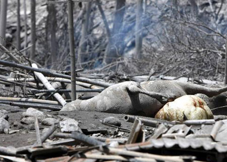 Picture 3 of The danger of Indonesian volcano