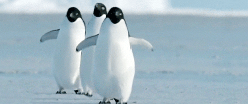 Picture 1 of The dark hidden corner has been hidden for hundreds of years of the cutest animal on the planet