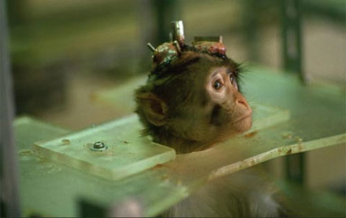 Picture 4 of The dark side of science