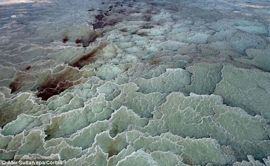 Picture 3 of The Dead Sea is being swallowed up by death knots?
