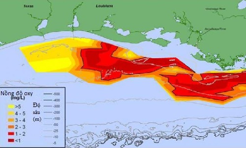 Picture 1 of The 'dead zone' spreads across the Gulf of Mexico