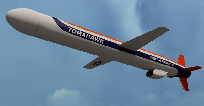 Picture 1 of The deadly elements of cruise missiles or the use of shot-down rifles Tomahawk