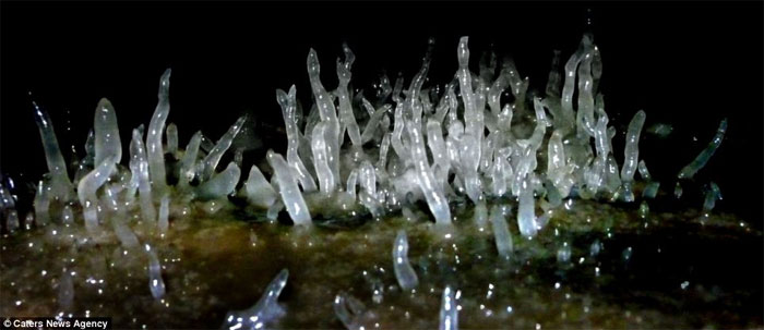 Picture 3 of The deepest cave in England is beautiful and sparkling