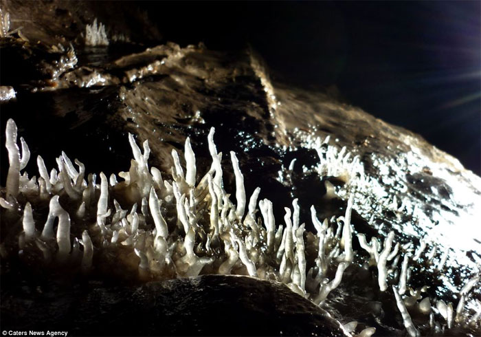 Picture 5 of The deepest cave in England is beautiful and sparkling