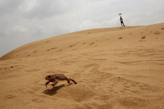 Picture 2 of The desert emits 'screams of demons in hell'